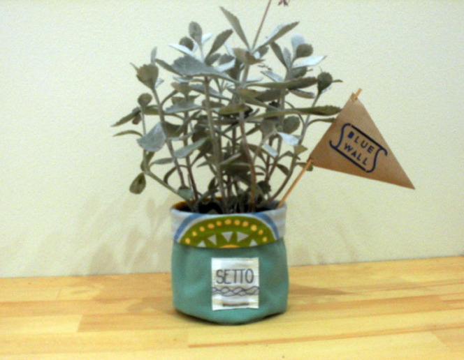 プランツ POT