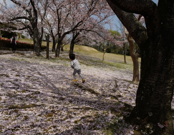 玉島　お花見スポット